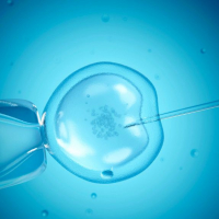 Special Collection: In vitro fertilisation – effectiveness of add-ons