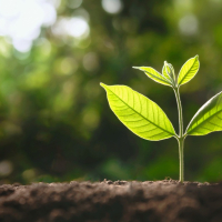 یادگیری تعاملی کاکرین یک ماژول جدید درباره مرورهای سیستماتیک پویا راه‌اندازی کرد