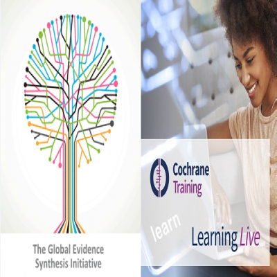 Undertaking a qualitative evidence synthesis to support decision-making in a Cochrane context