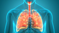 Most widely followed COPD guideline